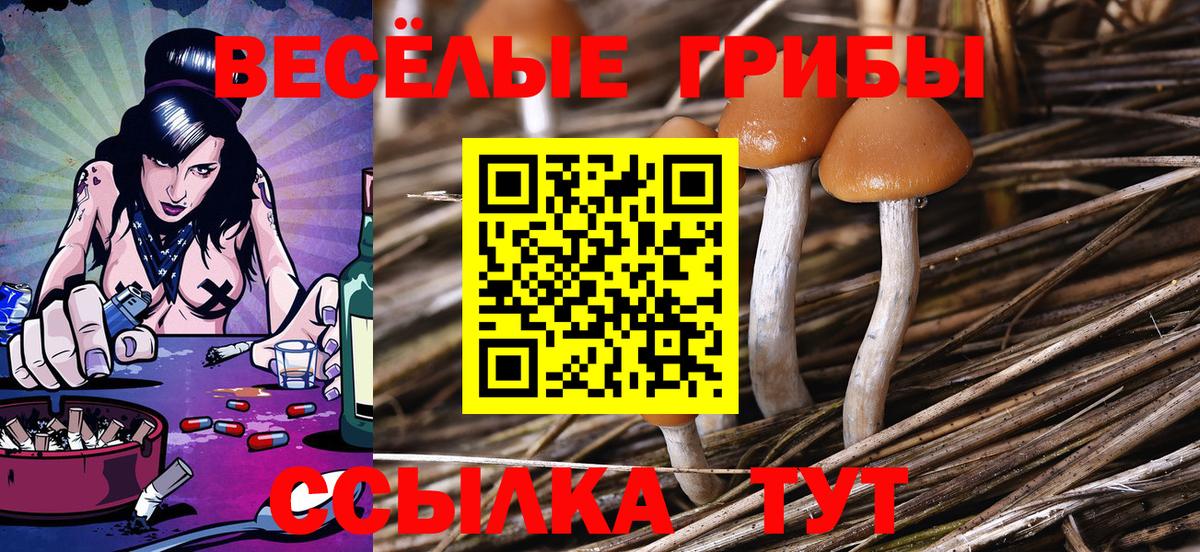 Татарск  Псилоцибиновые грибы прущие грибы  Псилоцибиновые грибы Cubensis  Вход с VPN 